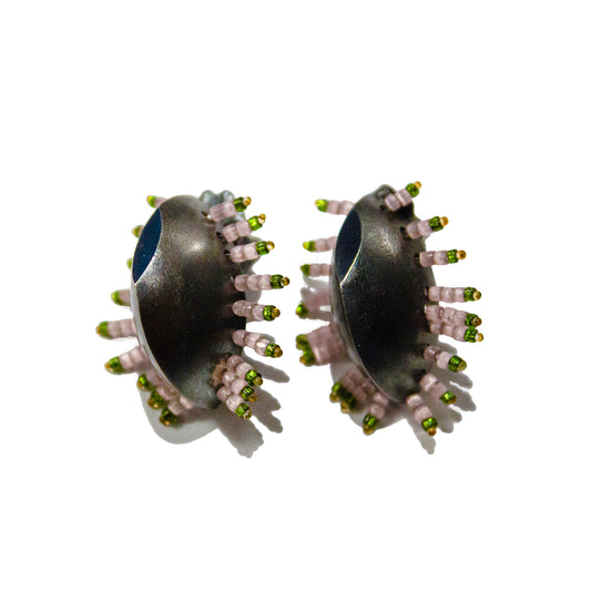 Lapillus #18